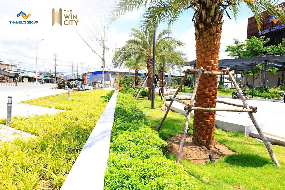 Hình ảnh thực tế The Win City