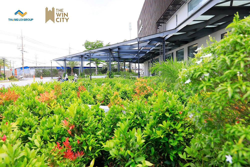 Hình ảnh thực tế The Win City